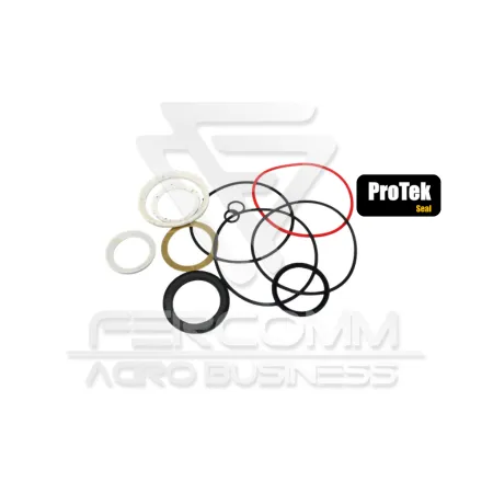 Kit Reparo Motor Char-lynn 2000 (D-RING)